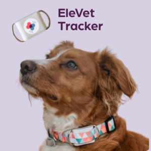 Pet health monitoring pet smart tracking device