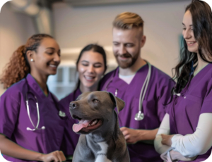 Veterinary team with dog in clinic setting showcasing pet care careers and staff Plainsboro, NJ
