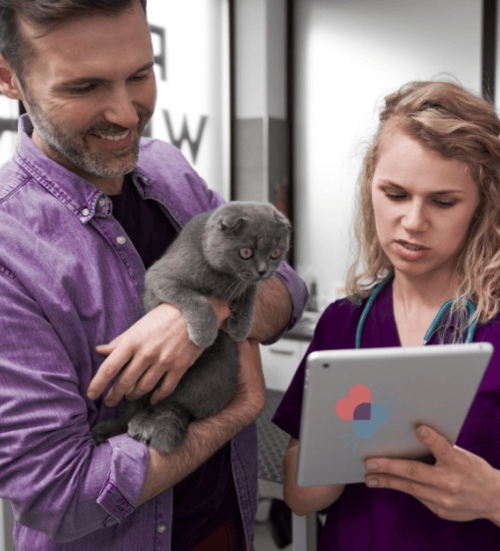 Veterinary telemedicine visit with pet owner holding cat and vet reviewing tablet care Plainsboro, NJ